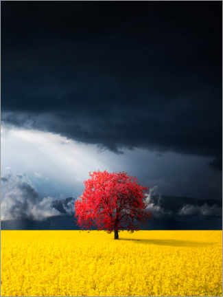 Poster Red tree