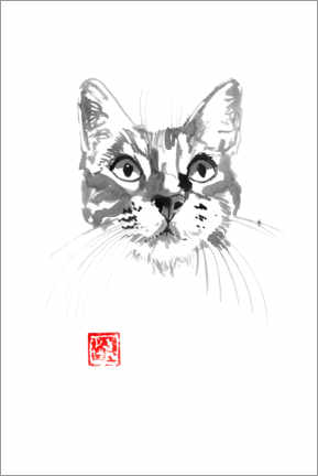Poster Katzengesicht