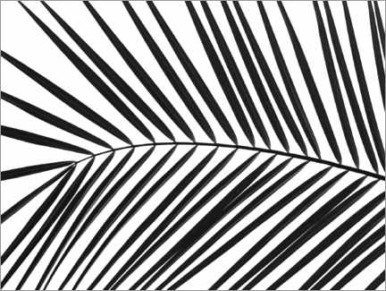 Poster Palm leaf II