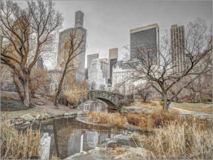 Poster Central Park in New York