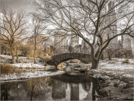 Wandbild  Central Park New York im Winter - Assaf Frank