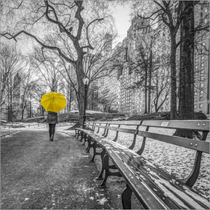 Wandbild  Gelber Regenschirm im Central Park - Assaf Frank
