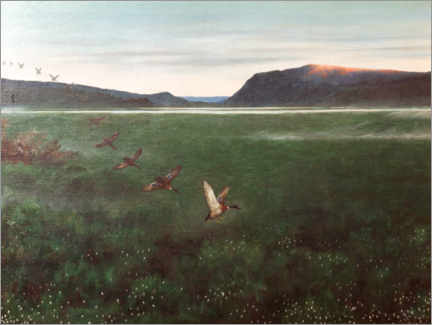 Poster The twelve wild ducks - Theodor Kittelsen