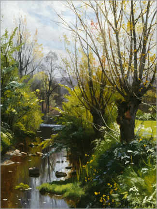 Poster Forest Stream