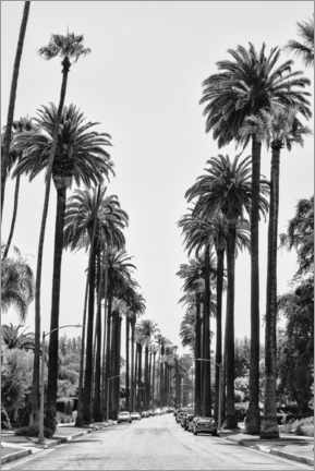 Póster Black California - Beverly Hills