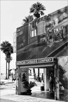 Poster  Black California - American Cannabis Venice Beach - Philippe HUGONNARD