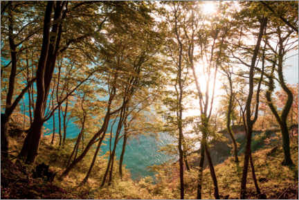 Reprodução  Costa de giz no Parque Nacional Jasmund, na ilha de Ruegen - Martin Wasilewski