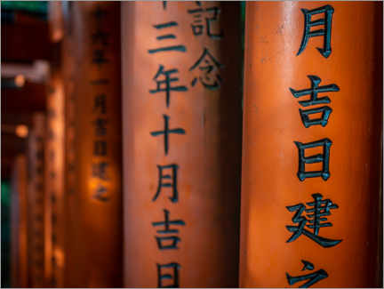 Tavla  Characters at Fushimi Inari Shrine, Kyoto - Julian Peters