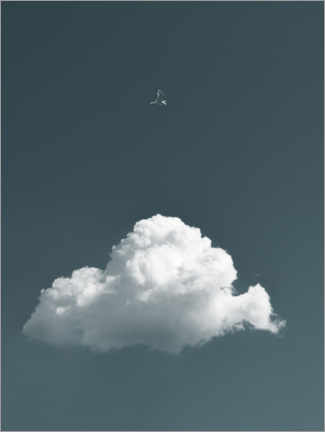 Stampa su tela  Uccello e nuvola - Lukas Saalfrank