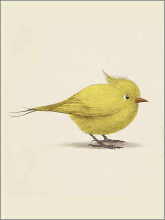 Póster Pájaro amarillo