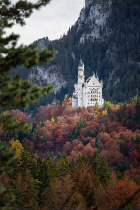 Póster  Neuschwanstein Castle in the forest - MUXPIX