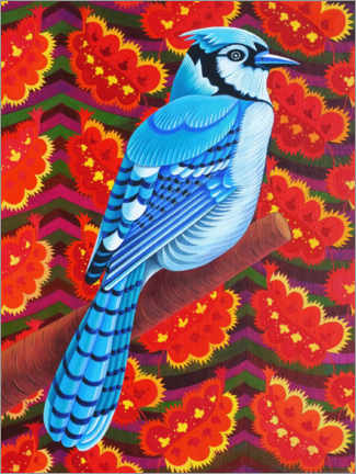 Poster Blue jay