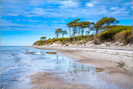 Póster Playa en la costa báltica