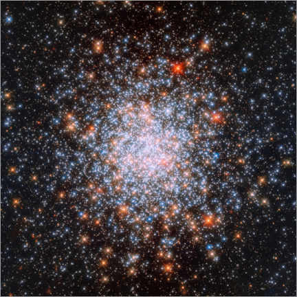 Poster NGC 1866 globular cluster