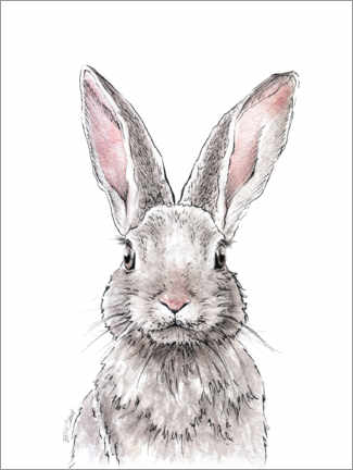 Plakat Rabbit portrait
