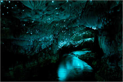 Poster Glühwürmchenhöhle, Waitomo, Neuseeland