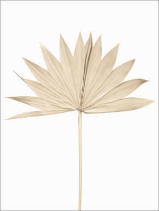 Póster Hoja de abanico Japandi