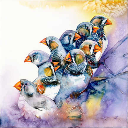 Tableau  Pinsons zèbres - Zaira Dzhaubaeva