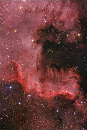 Reprodução  Parede Cygnus - Nebulosa da América do Norte - Benjamin Butschell