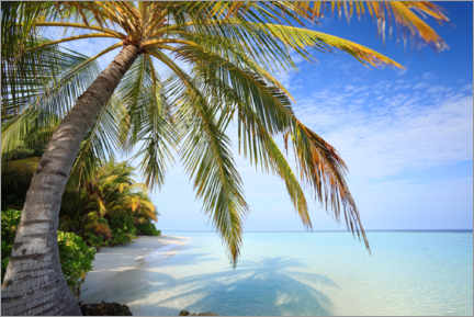 Akryylilasitaulu  Under the palm tree, Maldives - Matteo Colombo