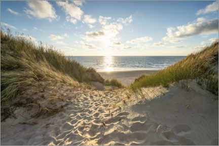 Akryylilasitaulu  Dunes on the beach - Jan Christopher Becke