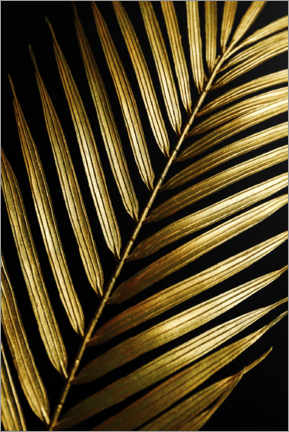 Acrylglasbild  Goldenes Palmenblatt