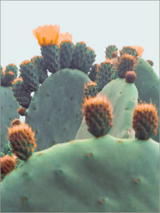Tableau  Orange Cactus - Emanuela Carratoni
