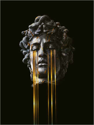 Aluminiumtavla  Medusa - Frank Moth