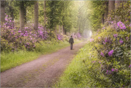 Taulu  Purple Lane - Roelof de Hoog
