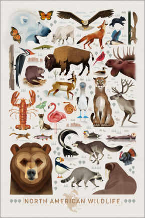 Plakat  North American Wildlife - Dieter Braun