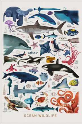 Akryylilasitaulu Ocean Wildlife - Dieter Braun