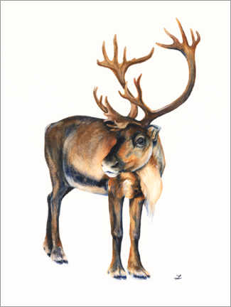 Póster  Caribou - Zaira Dzhaubaeva