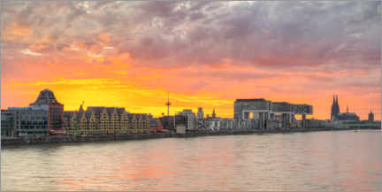 Juliste Cologne skyline at sunset