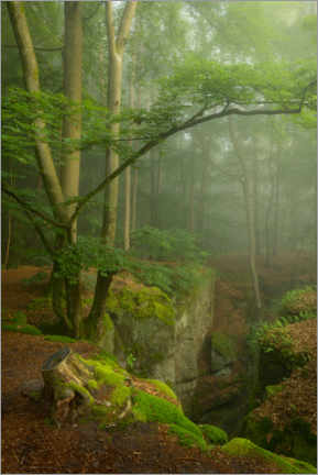 Poster Beautiful misty morning in the Teufelschlucht, Germany