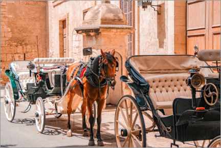 Print  Carriage ride - Sam Reimann