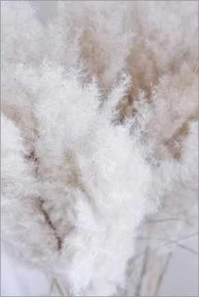 Print  Fluffy Pampasgras - Sam Reimann