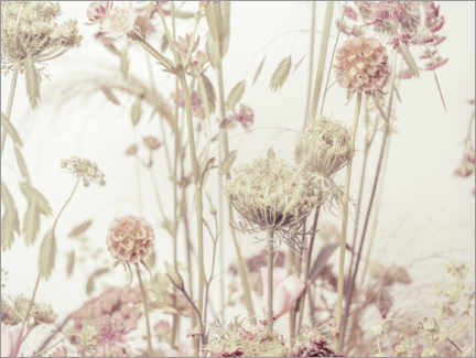 Poster My beautiful meadow flowers