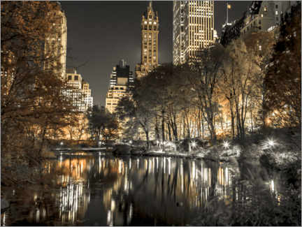 Akrylglastavla  Central park at Night - Assaf Frank