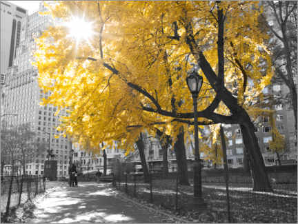 Wandbild  Gelber Baum in New York I - Assaf Frank