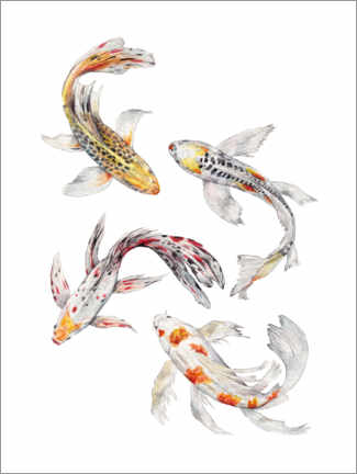 Tableau sur toile  Koi Fish - Wandering Laur