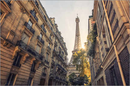 Póster Parisian View