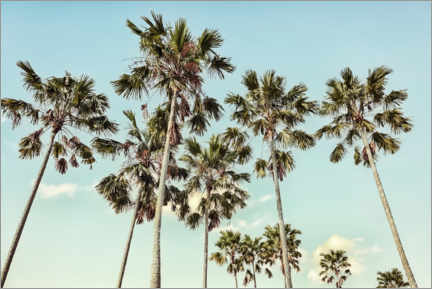 Poster  California - Manjik Pictures