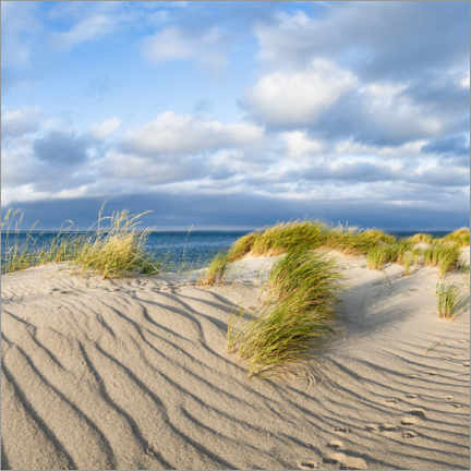 Stampa su tela  Dune landscape in the sunlight - Jan Christopher Becke