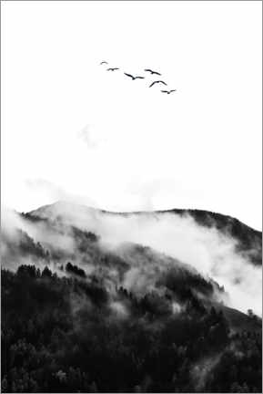 Poster The Wilderness