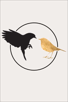 Poster Lovebirds