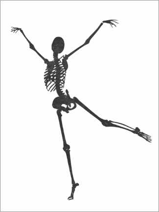 Canvastavla  Dancing Skeleton III - TAlex
