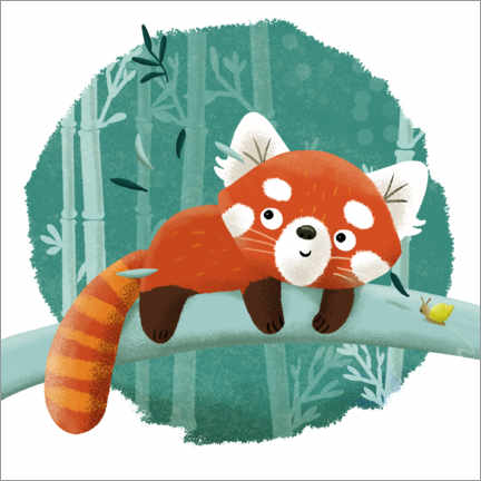 Plakat The red panda