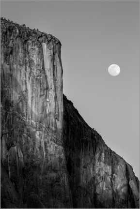 Poster  Full moon rising near El Capitan at sunset - Ann Collins