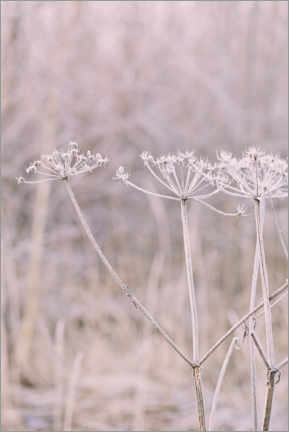 Poster Pastel Winter Morning