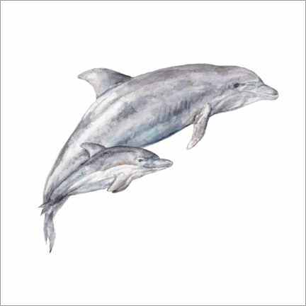 Poster Mama und Baby-Delfin